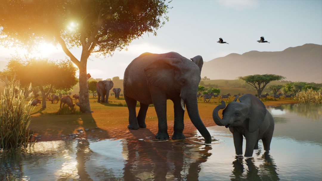 《动物园之星2》10月13日推出 Steam国区200元