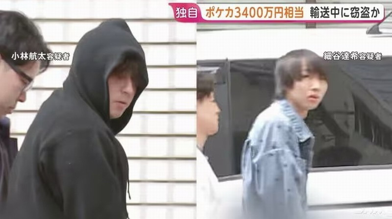 日本两男子盗窃306张《宝可梦》卡牌价值3400万日元  