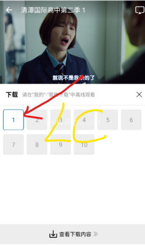 海狗视频
