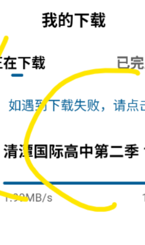 海狗视频