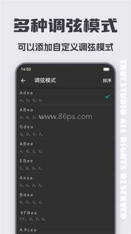 智能琵琶调音器