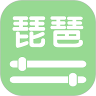 智能琵琶调音器