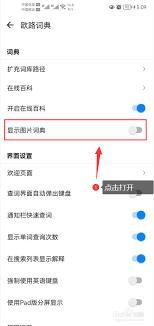  欧路词典为什么不显示图片词典功能
