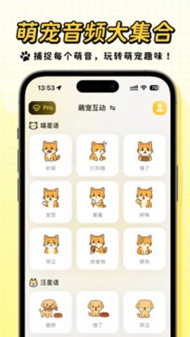 宠玩