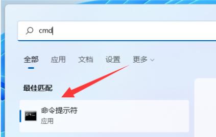  Win11更新错误代码0x800f0805的解决方法
