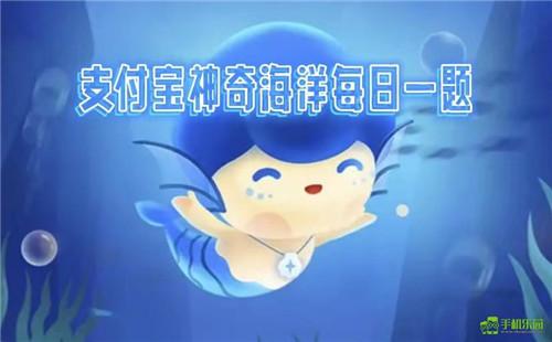  蚂蚁森林神奇海洋2025年8月1日答案
