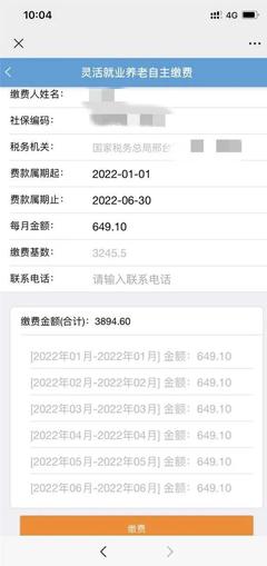  河北税务社保缴费记录如何查询