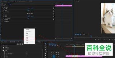  premiere如何给视频制作球面化效果