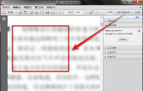 Reader XI如何放大页面内容  Adobe