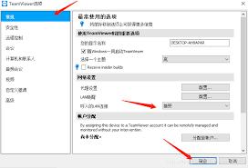  如何配置TeamViewer服务器