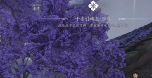 绣金所任务