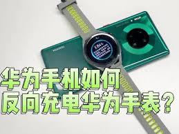  华为手表反向充电怎么设置密码