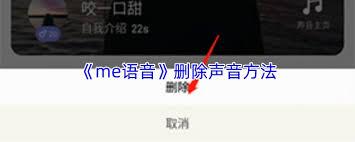  如何删除me语音声音