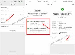  爱南宁如何关闭免密支付