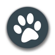 百度兽音译者app