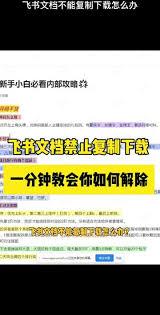  飞书文件下载慢怎么解决