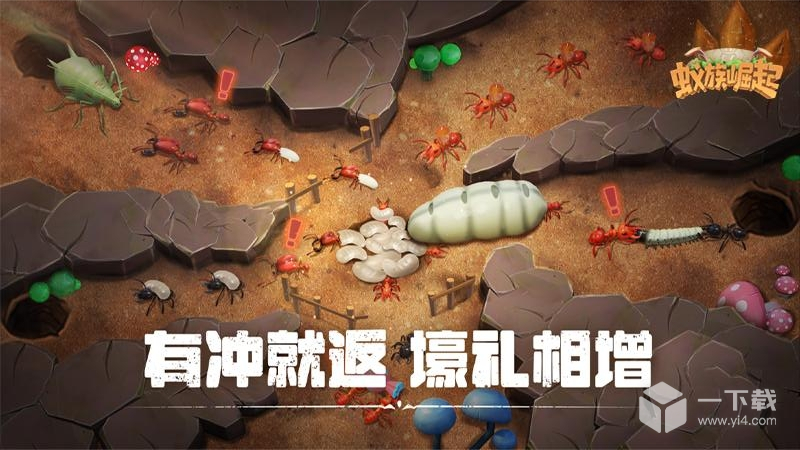 蚁族崛起