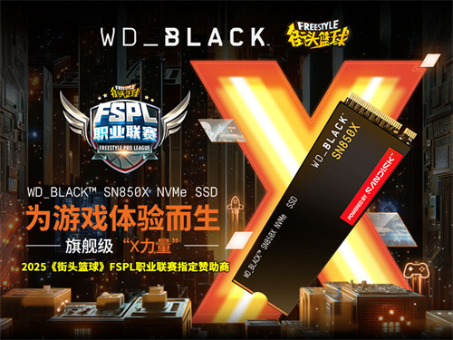  为体验而生WD_BLACKSSD助力2025《街头篮球》FSPL职业联赛