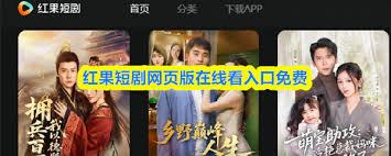  红果短剧网页版在哪里观看