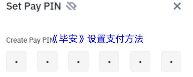 设置支付方法  毕安