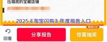  淘宝闪购年度报告在哪里查看