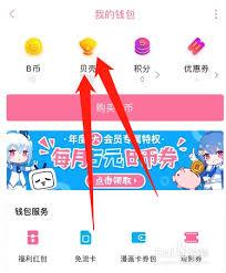  哔哩哔哩UP主如何提现收益