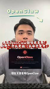  openclaw是谁开发的