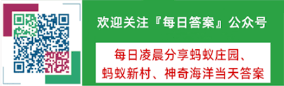   小鸡宝宝考考您：鲤城是我国哪个城市的别称？2026年泉州鲤城别称由来及历史文化深度解析